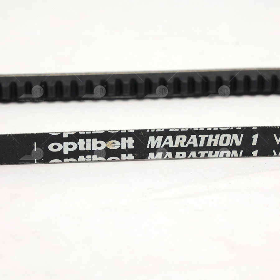 Dây curoa thang Optibelt  V10x660