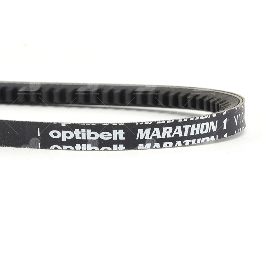 Dây curoa thang Optibelt  V10x880