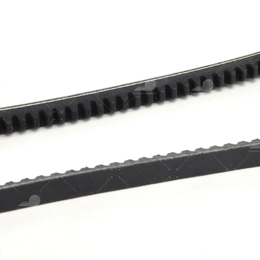 Dây curoa thang Optibelt  V10x880