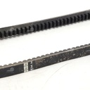 Dây curoa thang Optibelt  V13x695