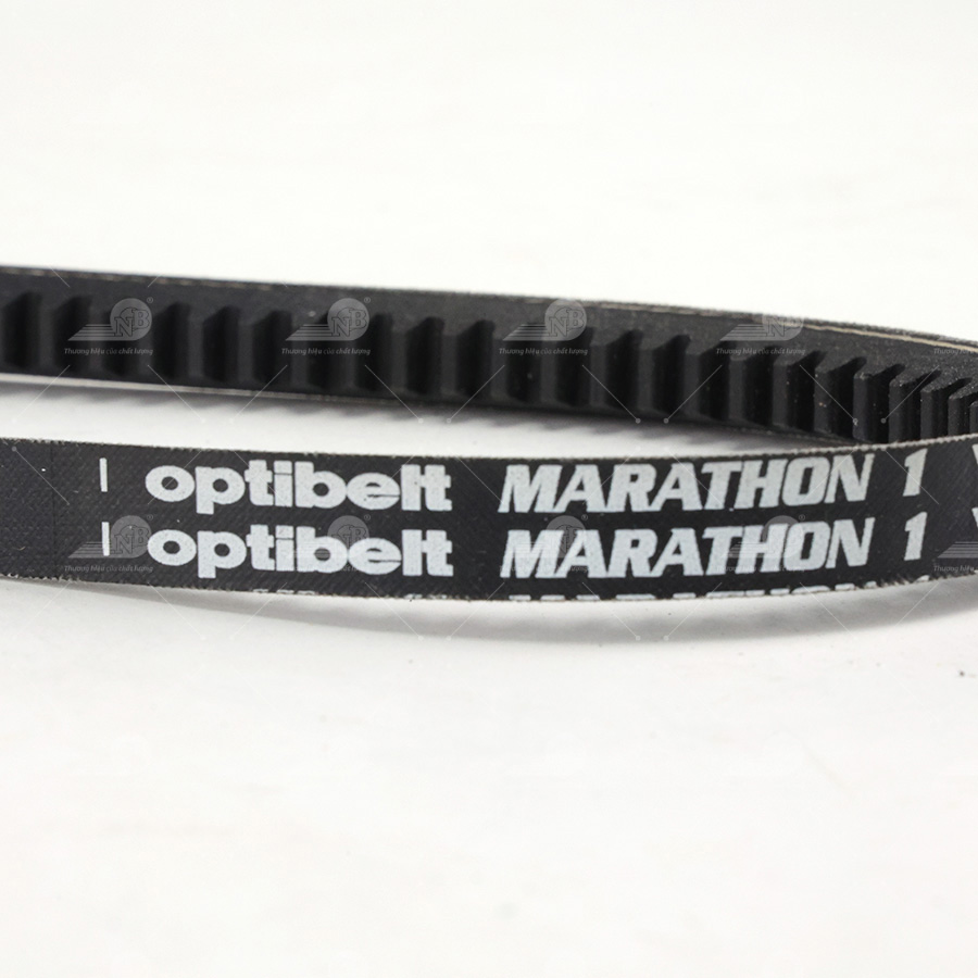 Dây curoa thang Optibelt  V13x725