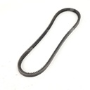 Dây curoa thang Optibelt  V13x875