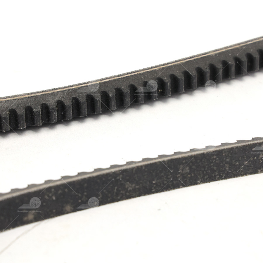 Dây curoa thang Optibelt  V13x890