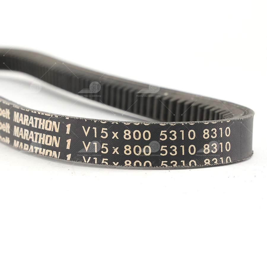 Dây curoa thang Optibelt  V15x800