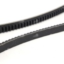 Dây curoa thang Optibelt  V13x1000