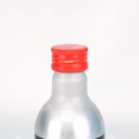 Dung dịch vệ sinh buồng đốt kim phun máy dầu AISIN ADEAZ-4002 250ML