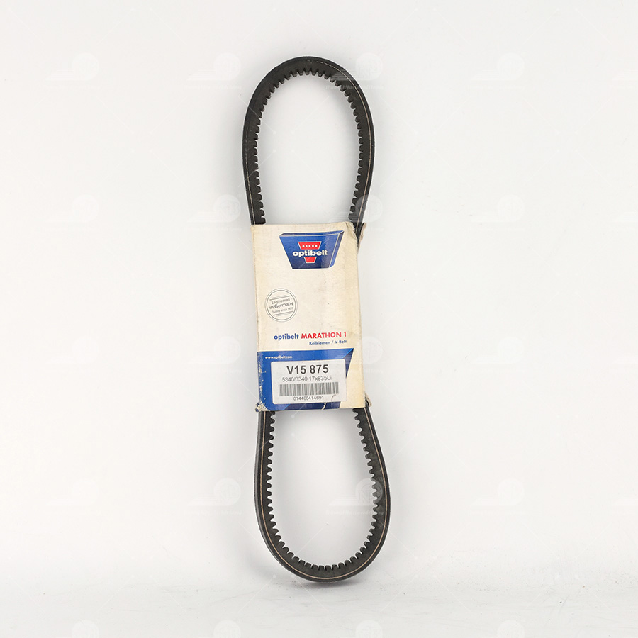 Dây curoa thang Optibelt  V15x875